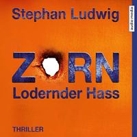 Zorn: Lodernder Hass von Stephan Ludwig